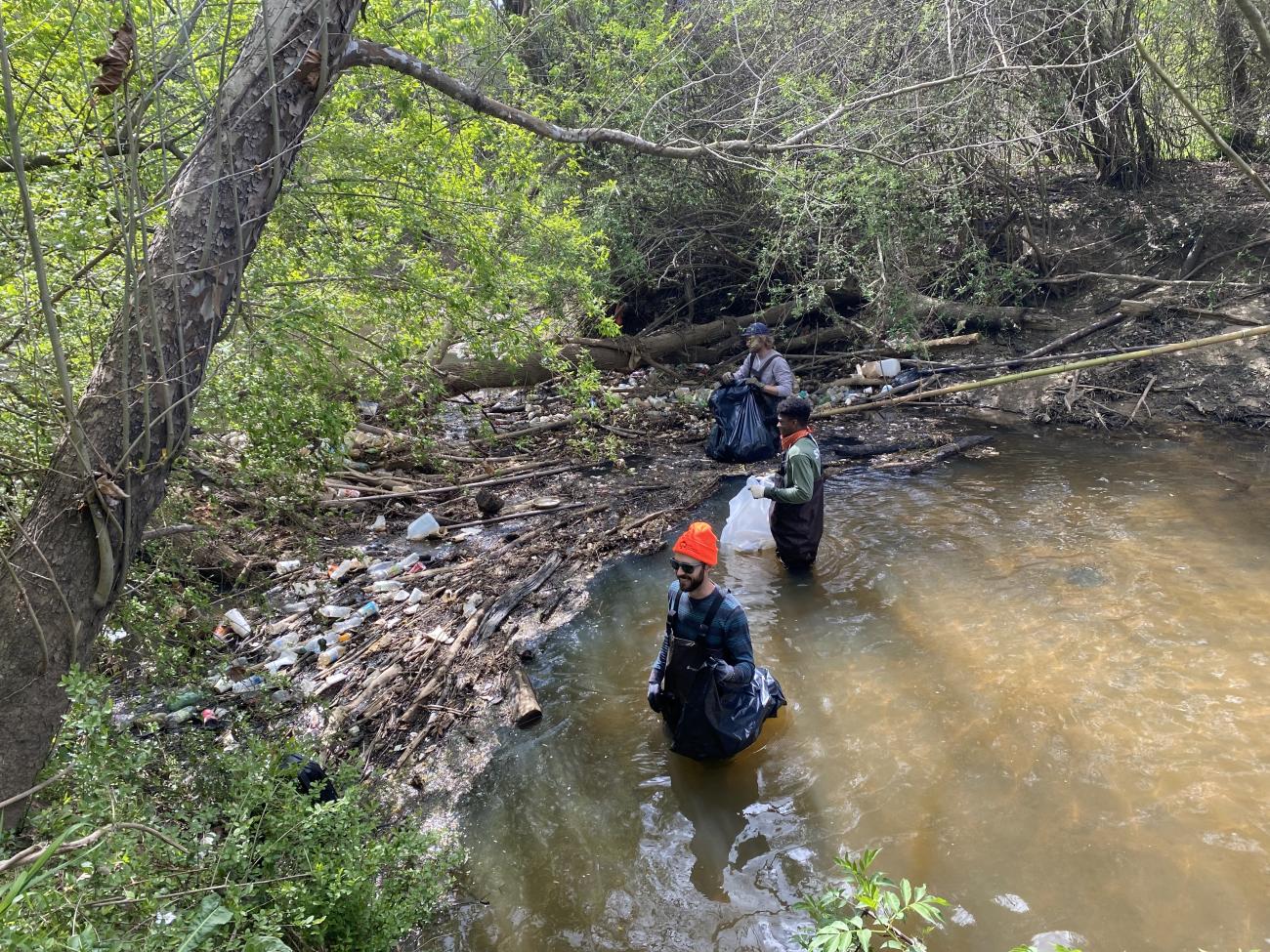 volunteers in stream