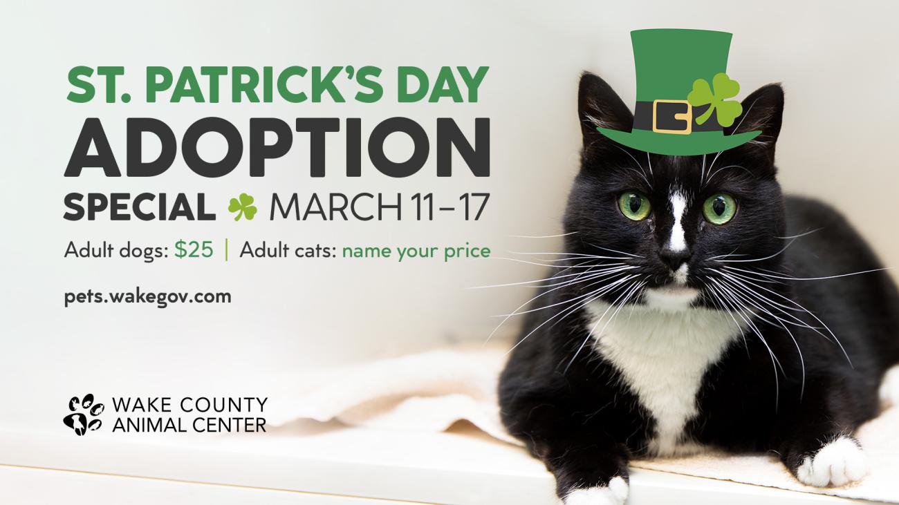 St. Patrick's Day adoption special March 11-17, adult dogs: $25, adult cats: name your price