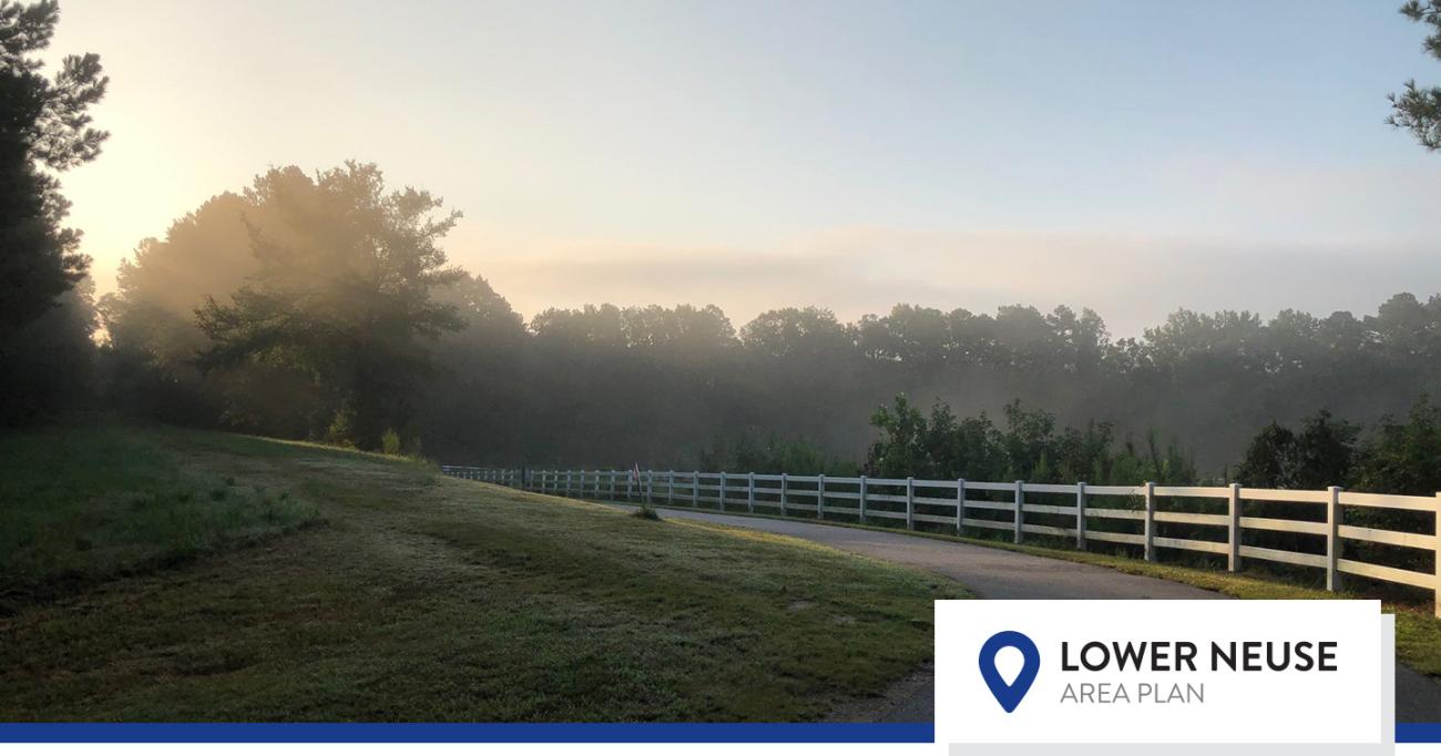 Lower Neuse River Trail with Mist 