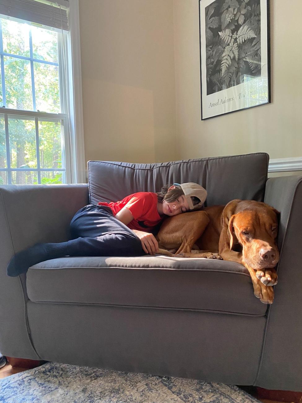 Sleeping child lies against dog on chair