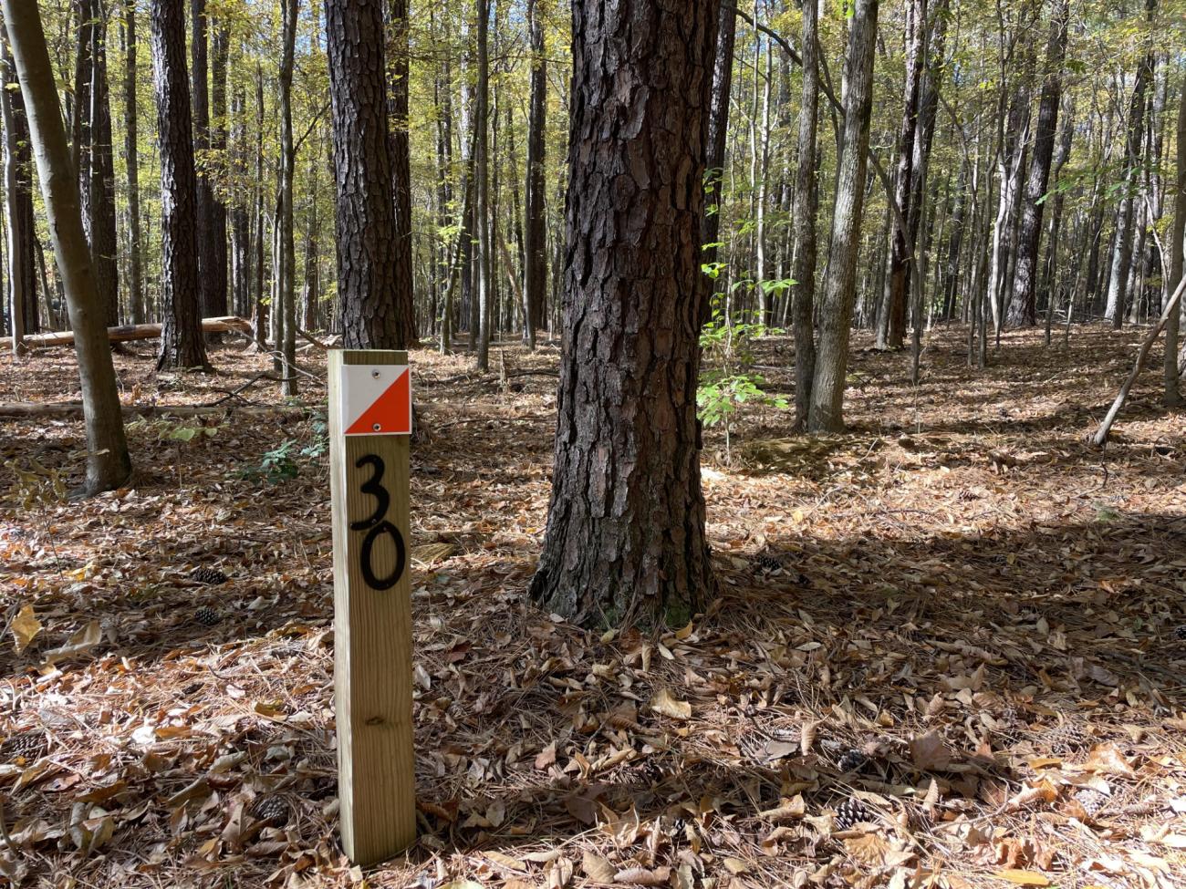 Photo of one of the Orienteering Course posts