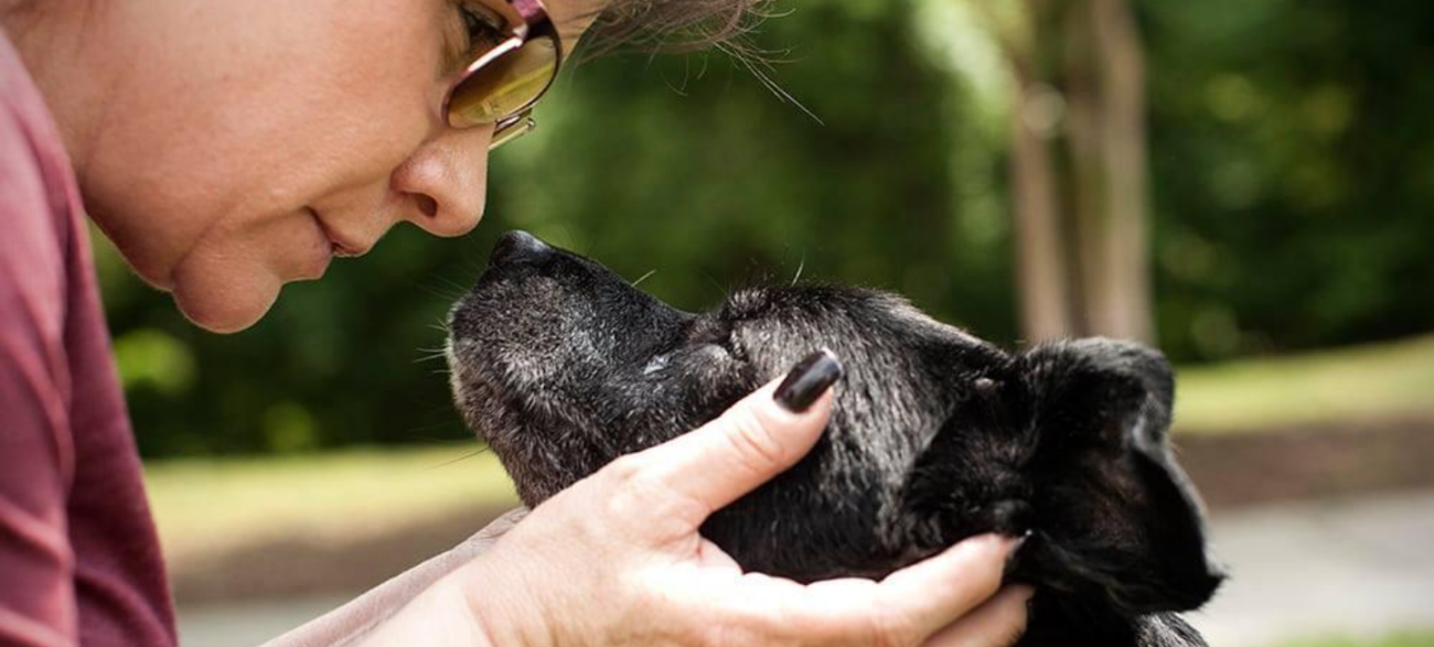 Transfer Program: Woman looking at dog