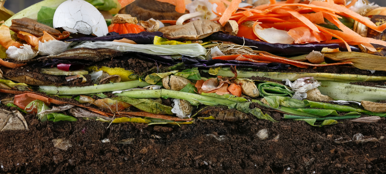 Layers of compost including green food scraps, browns like paper and tea bags, as well as soil