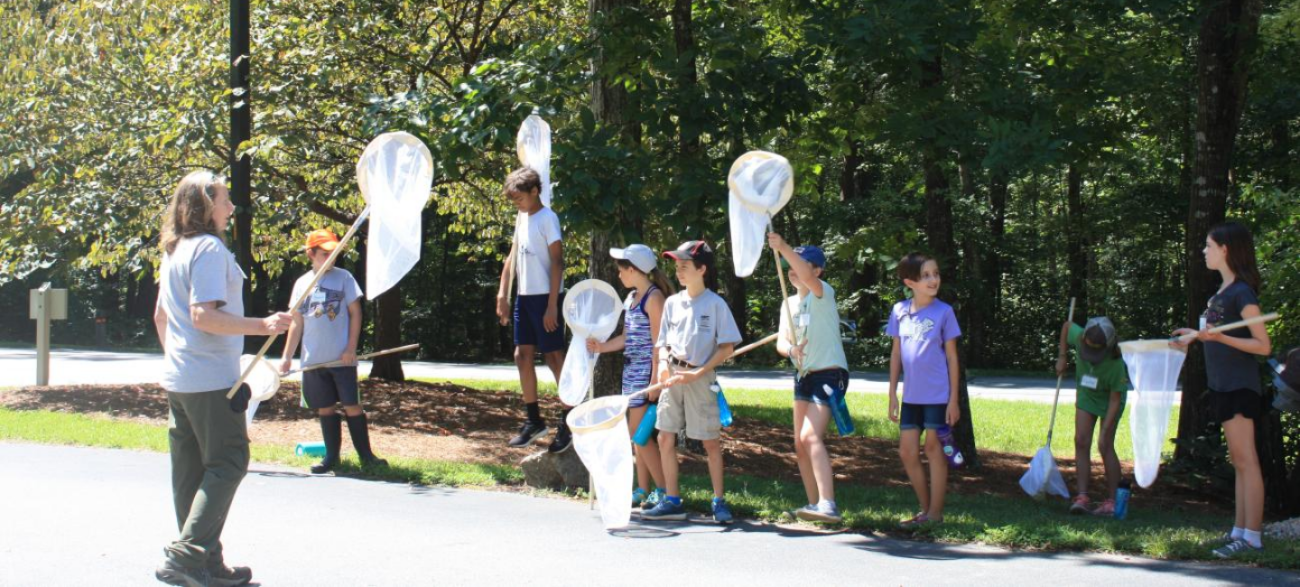 Crabtree Camp Activity involving butterfly nets