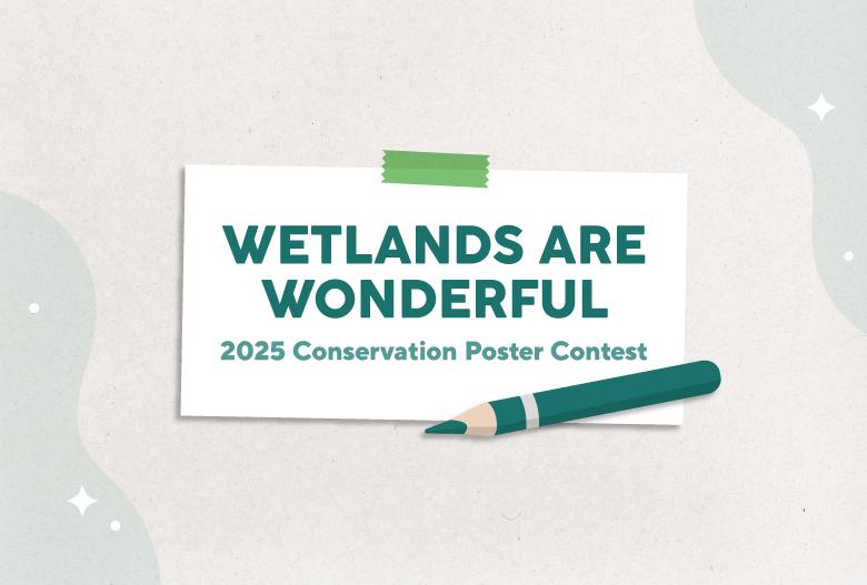 "Wetlands Are Wonderful: 2025 Conservation Poster Contest"