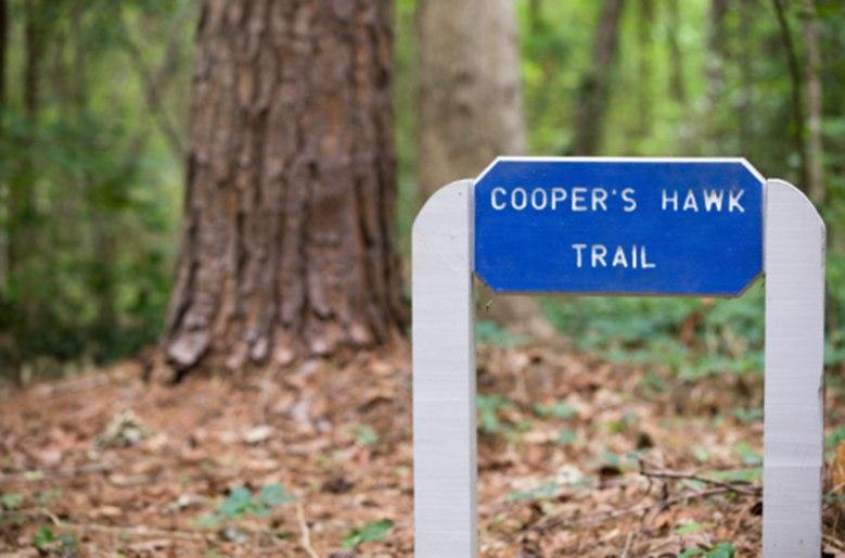 Blue wooden sign with text stating Coopers Hawk Trail