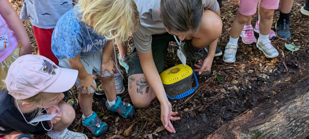 Kids learning at a camp activity