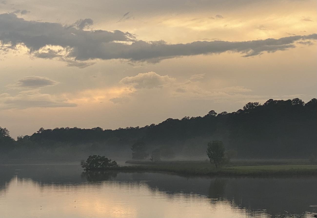 Lake Crabtree shore with meadow and pine trees in the mist