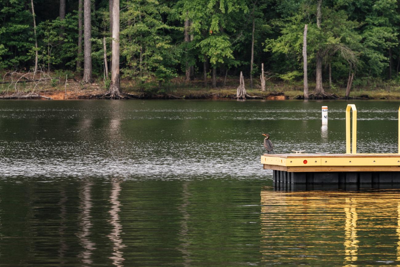 platform in the middle of a wooded lake