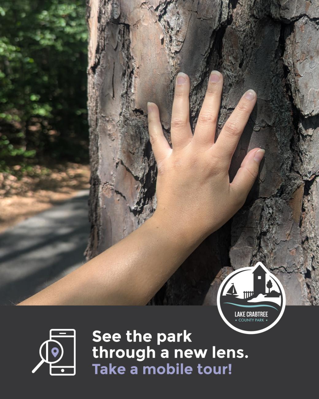 hand on bark mobile tour graphic