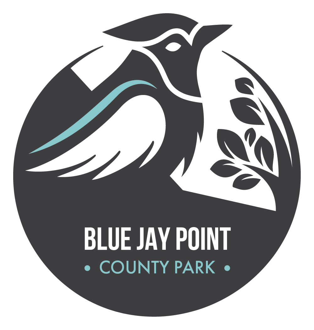 Icon for Blue Jay 2
