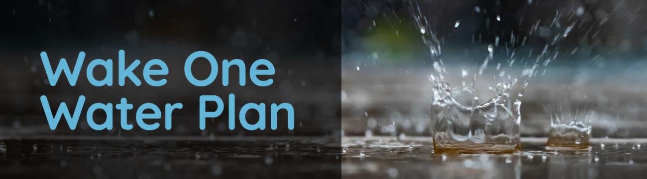 One water plan