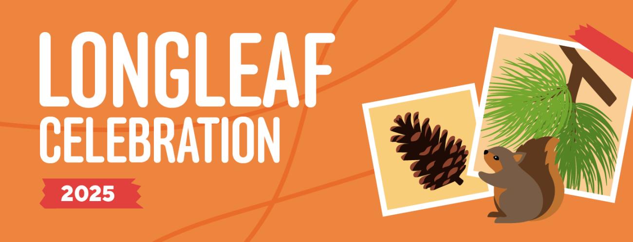 Longleaf Celebration 2025, drawings of pine cone, pine needles, squirrel