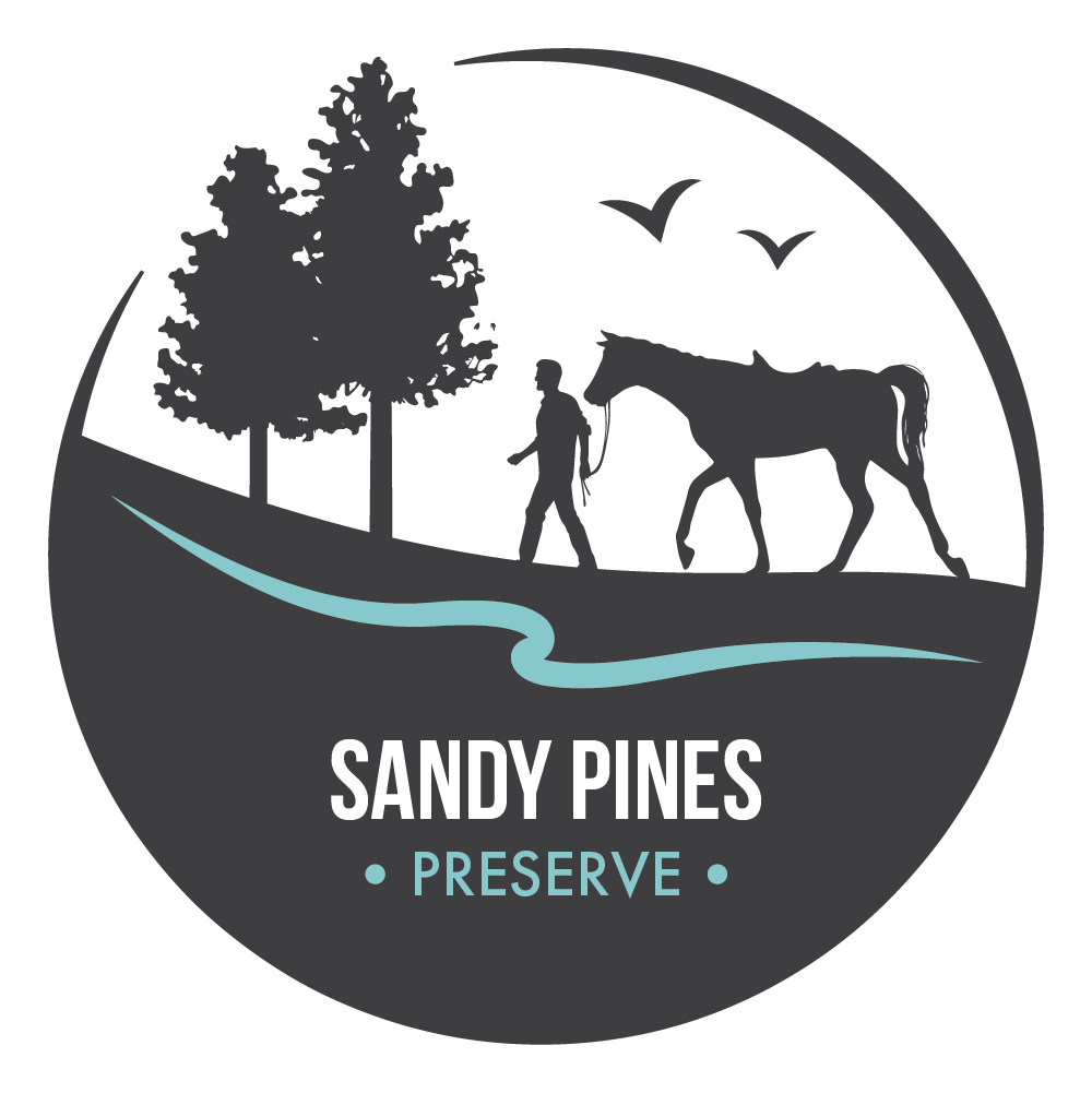 Sandy Pines icon image