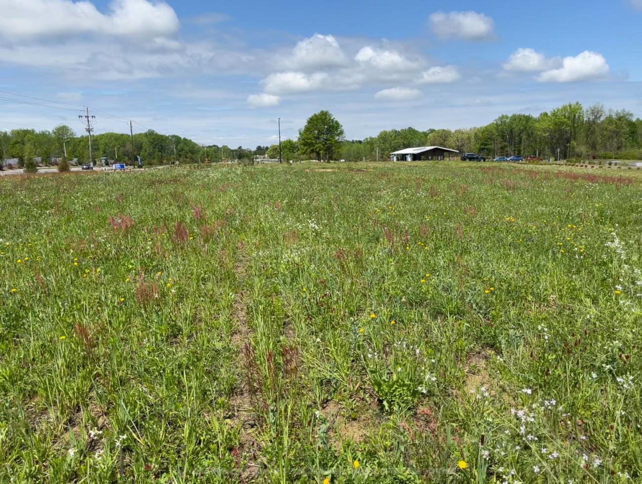 Agriculture Field at Beech Bluff County Park