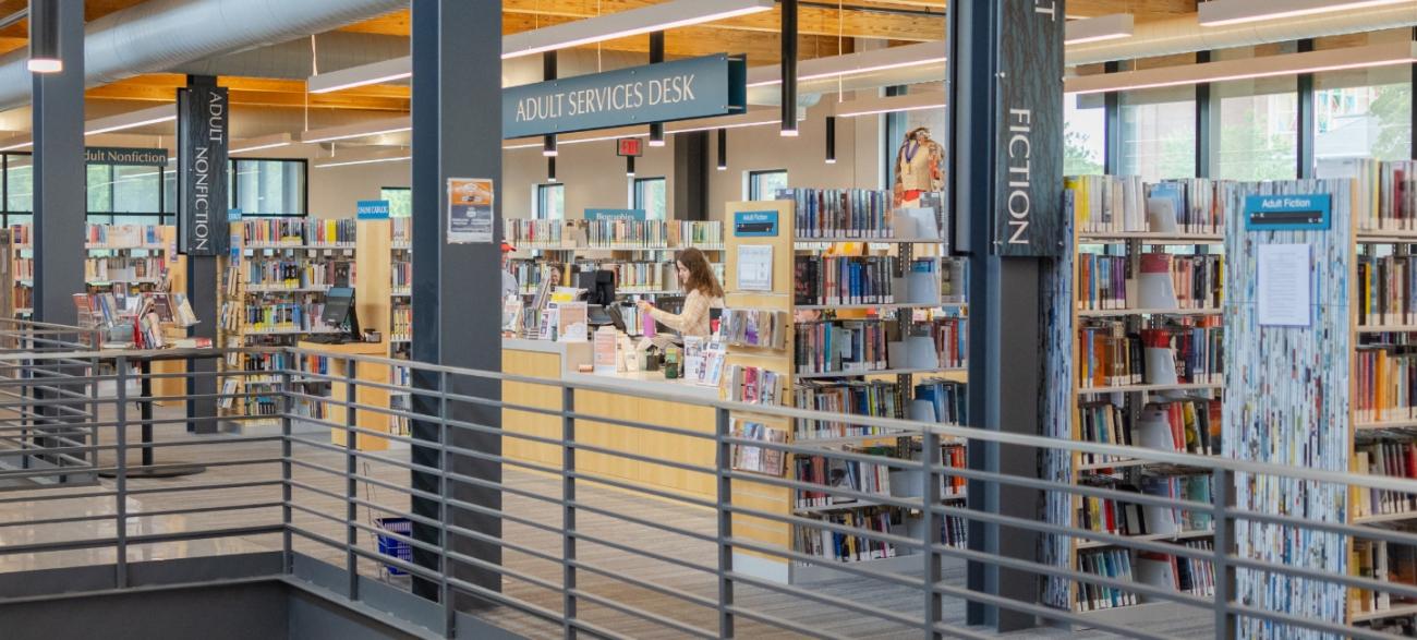 Library Books on Shelves