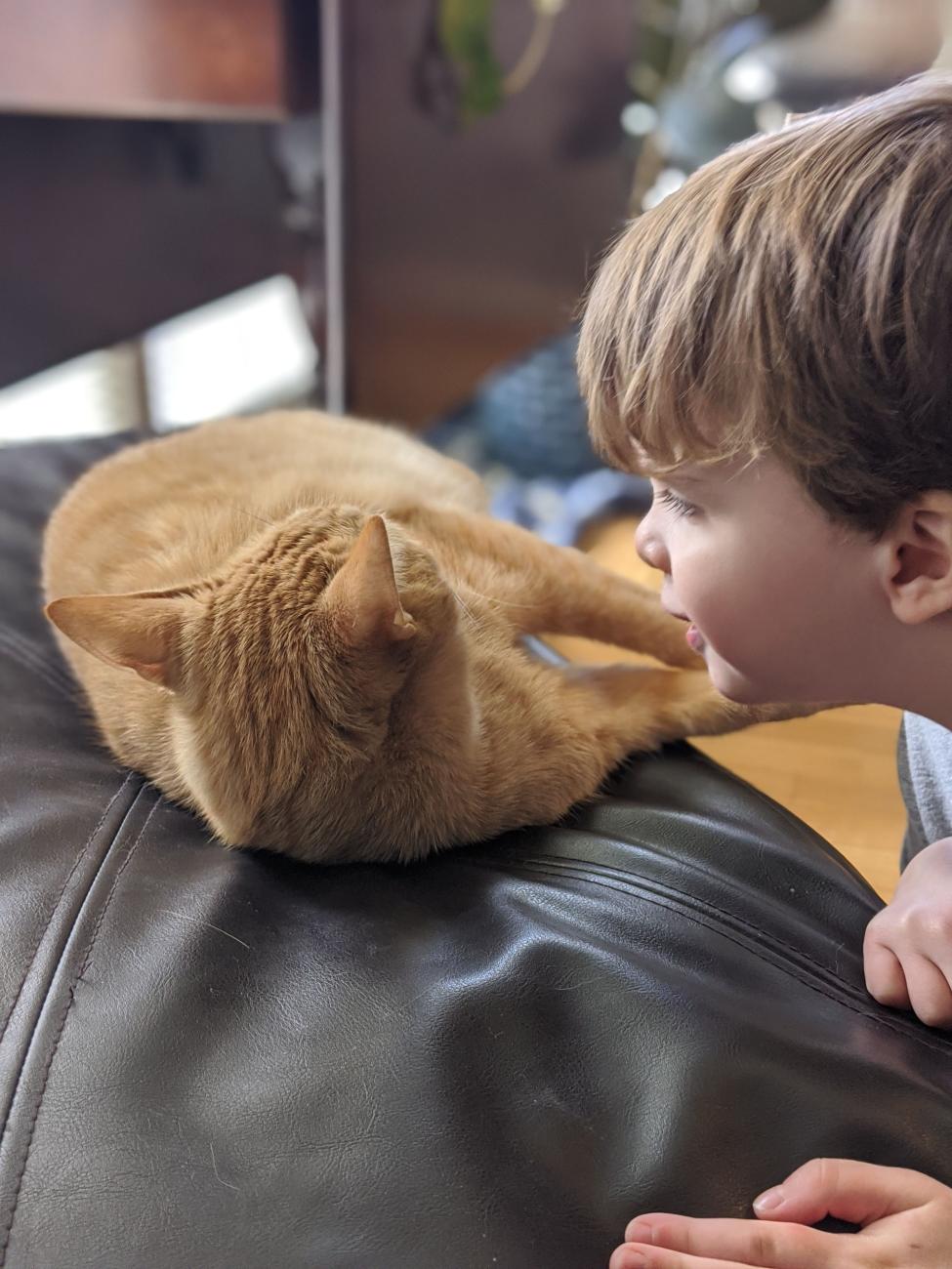 Sam, a young boy, speaks to Cheese, an orange tabby cat lying on a beanbag chair.