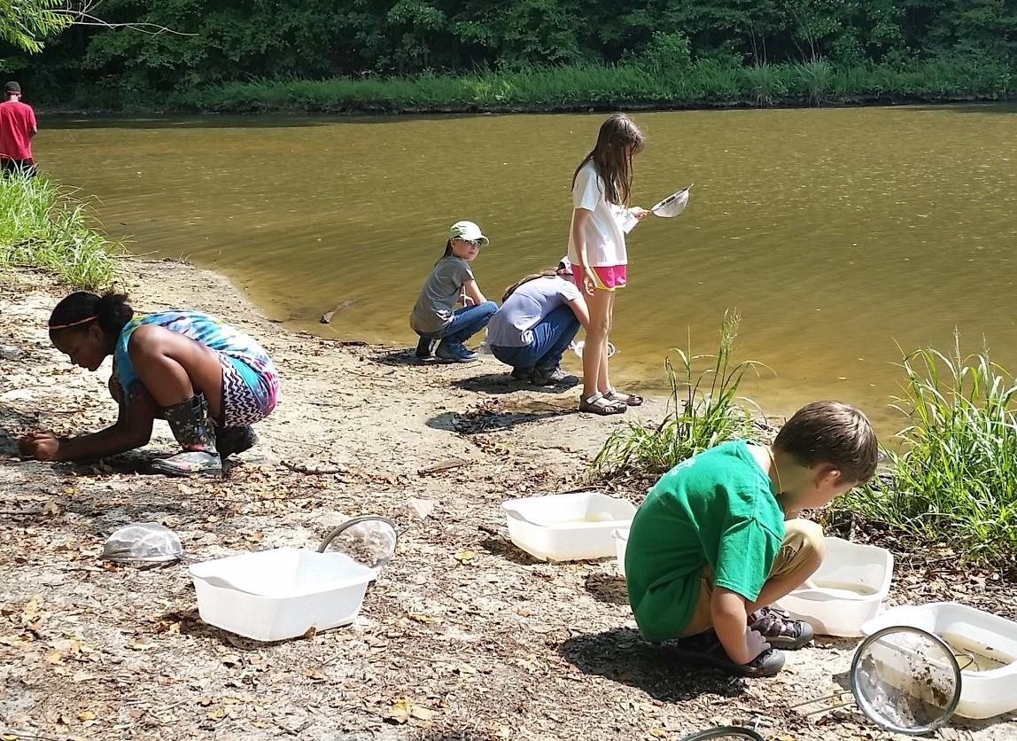 Students on lake shore looking closely at invertebrates in buckets and nets