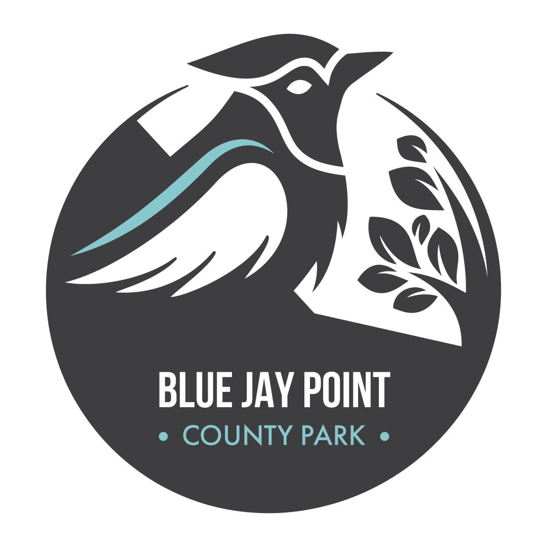 Blue Jay Icon