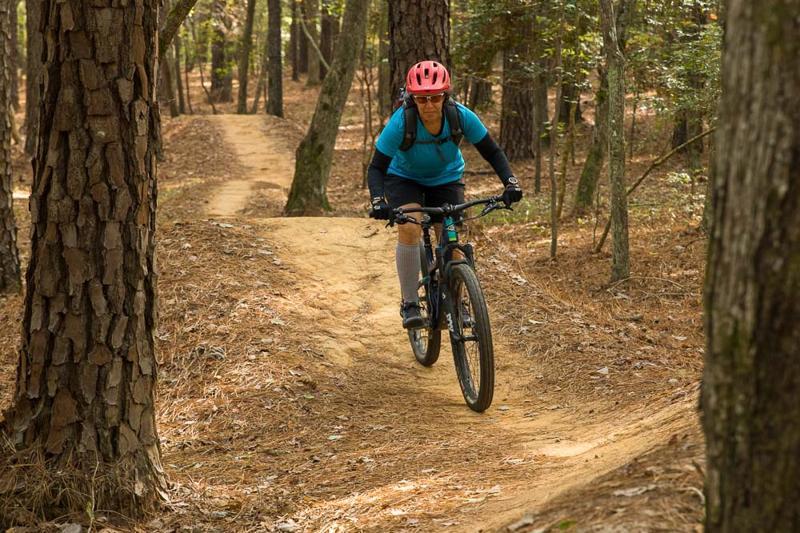 A mountain biker wearing a pink helmet and blue shirt rides along a dirt trail through a forest with tall pine trees and scattered leaves on the ground.
