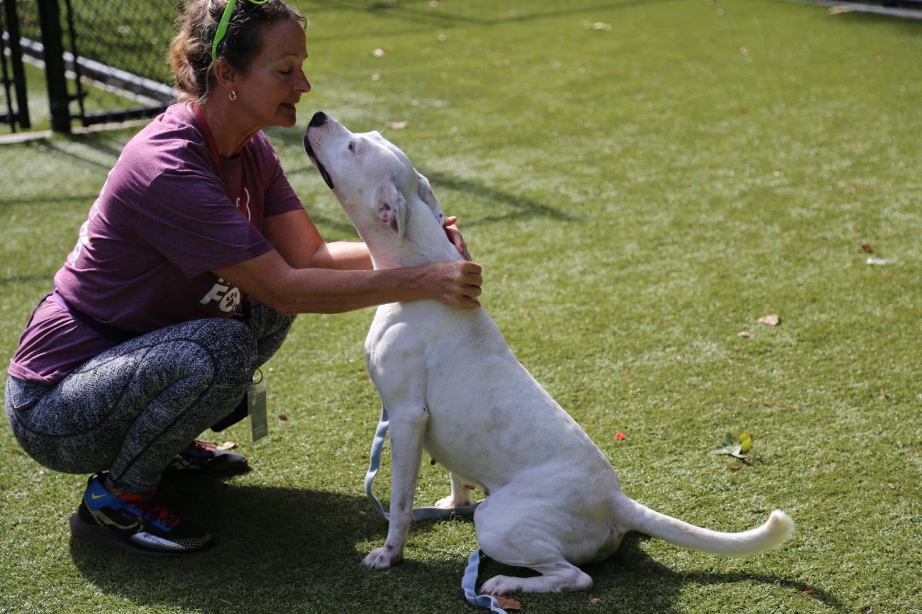 Christine crouches to receive a nose-to-nose kiss from a white dog in the grassy yard.