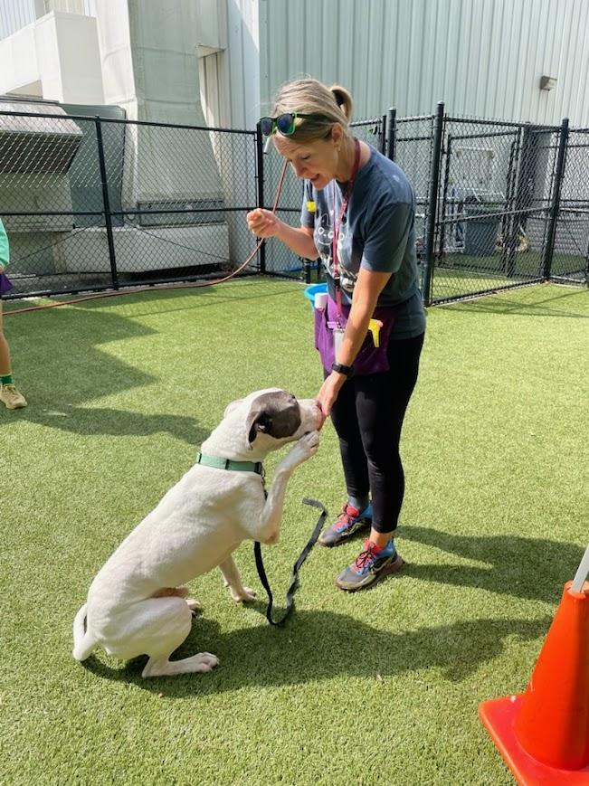 Christine stands in the play yard as a white dog sits politely, offering a paw for a treat.