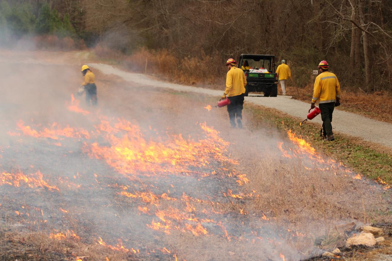 Staff dropping fire lines on field