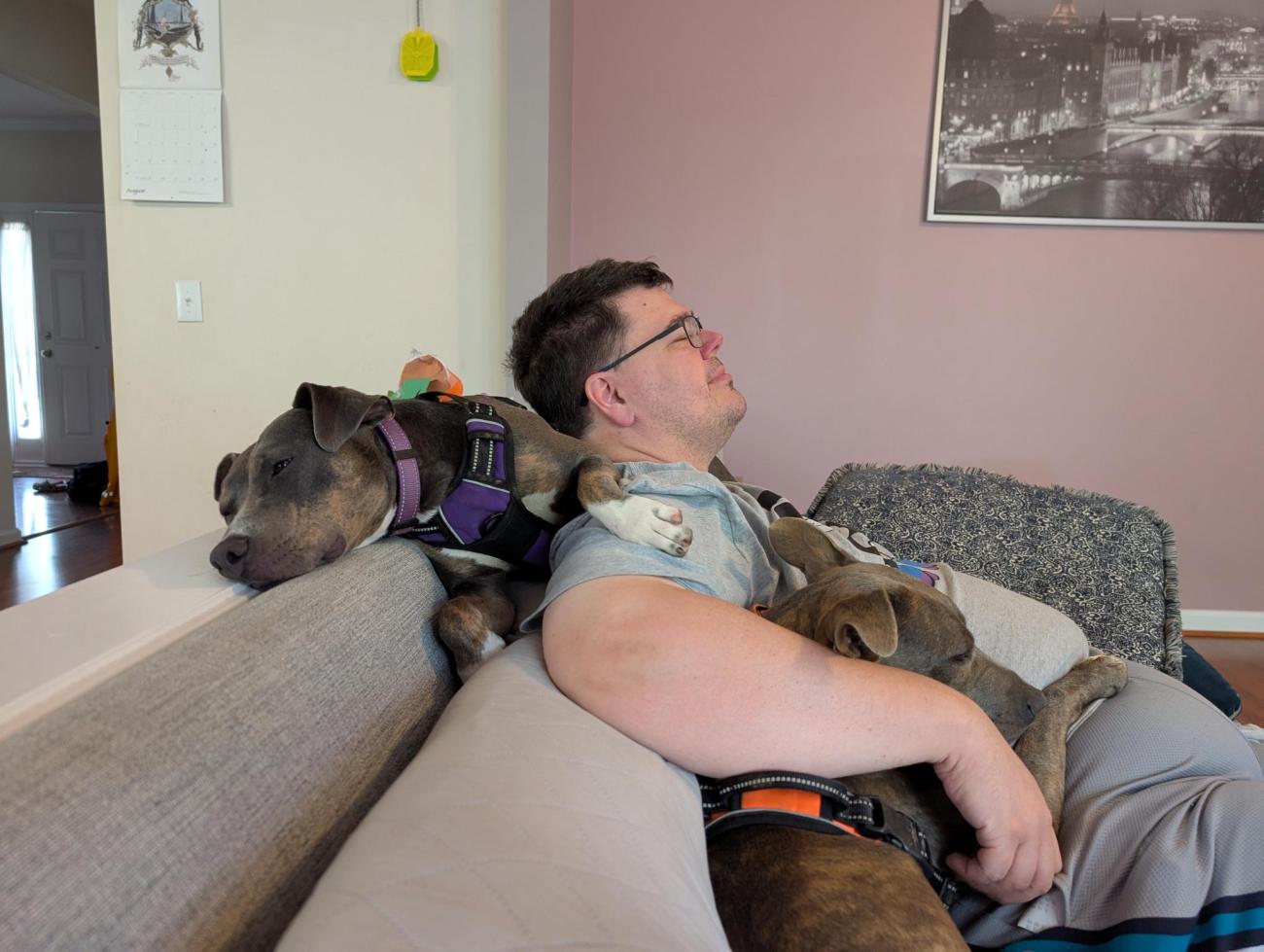 A man relaxes on a couch while one dog lounges across the back of the couch and another rests on his lap.