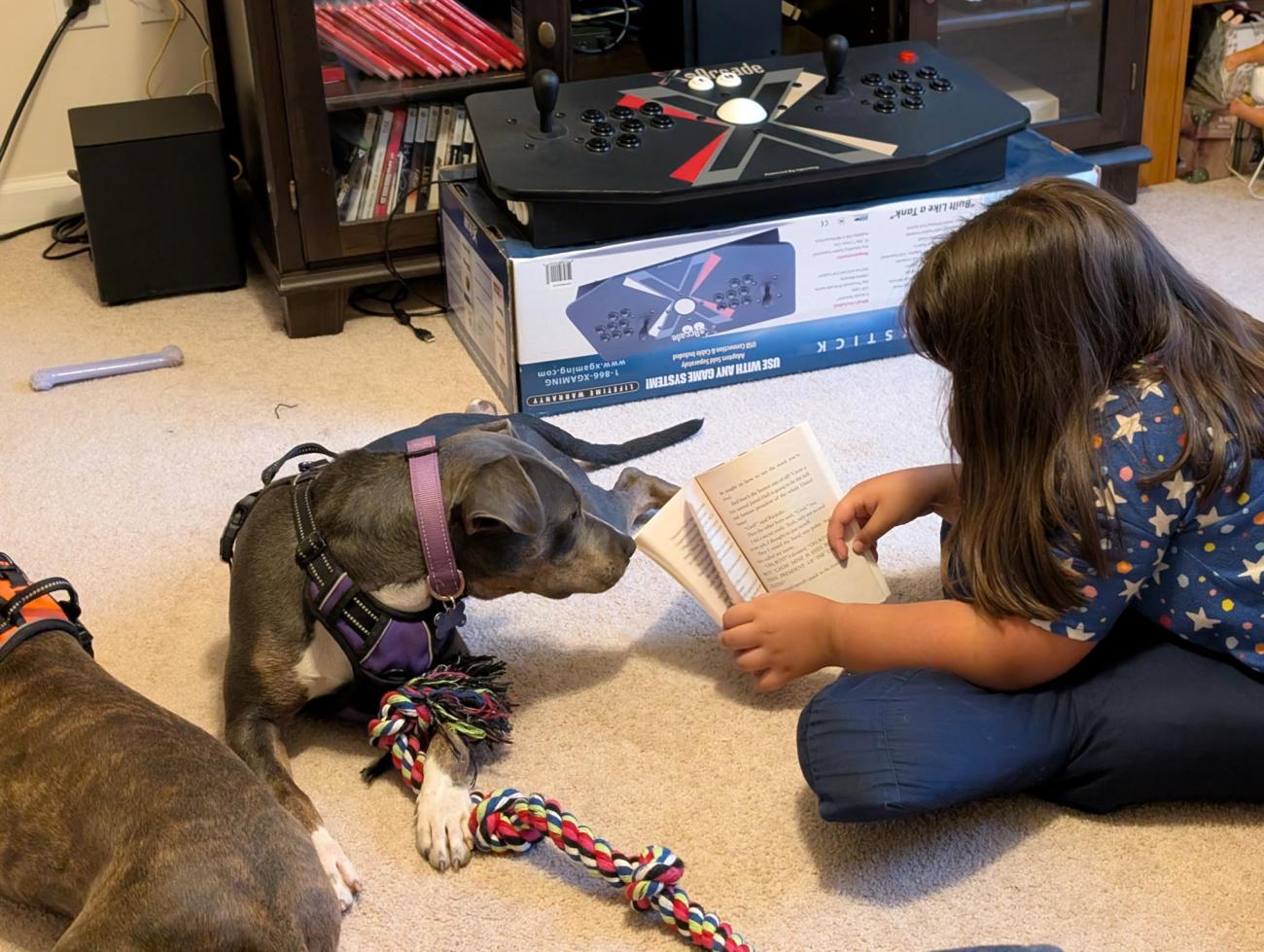 A child sits on the floor holding an open book while a dog lies nearby, watching.