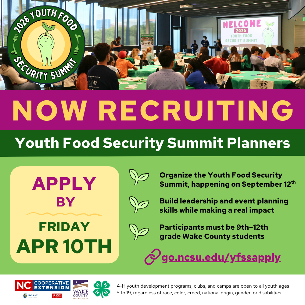 Green and pink flyer promoting the Youth Food Security Summit Planning Team application