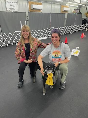 Two women kneel beside a small black dog wearing a yellow ribbon at a dog training facility.