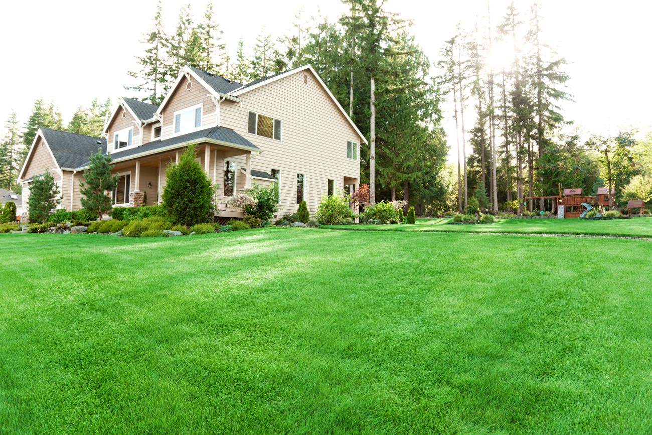 Large suburban home with a spacious, well-maintained lawn and trees.