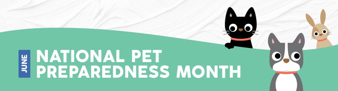 A green and white graphic reading: June - Pet Preparedness Month. To the right there is a cartoon cat, dog and bunny