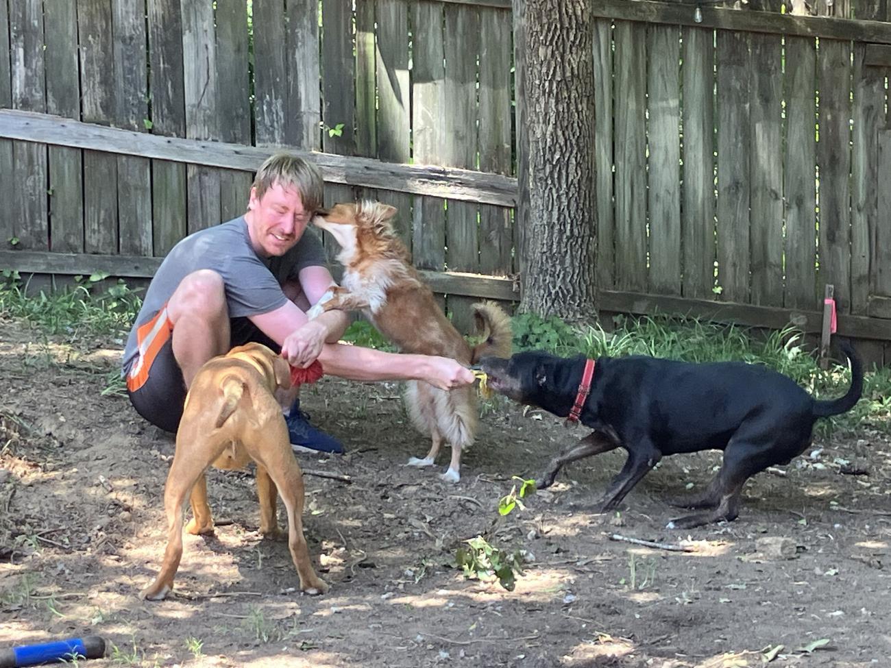 Trevor playing tug-of-war with dogs