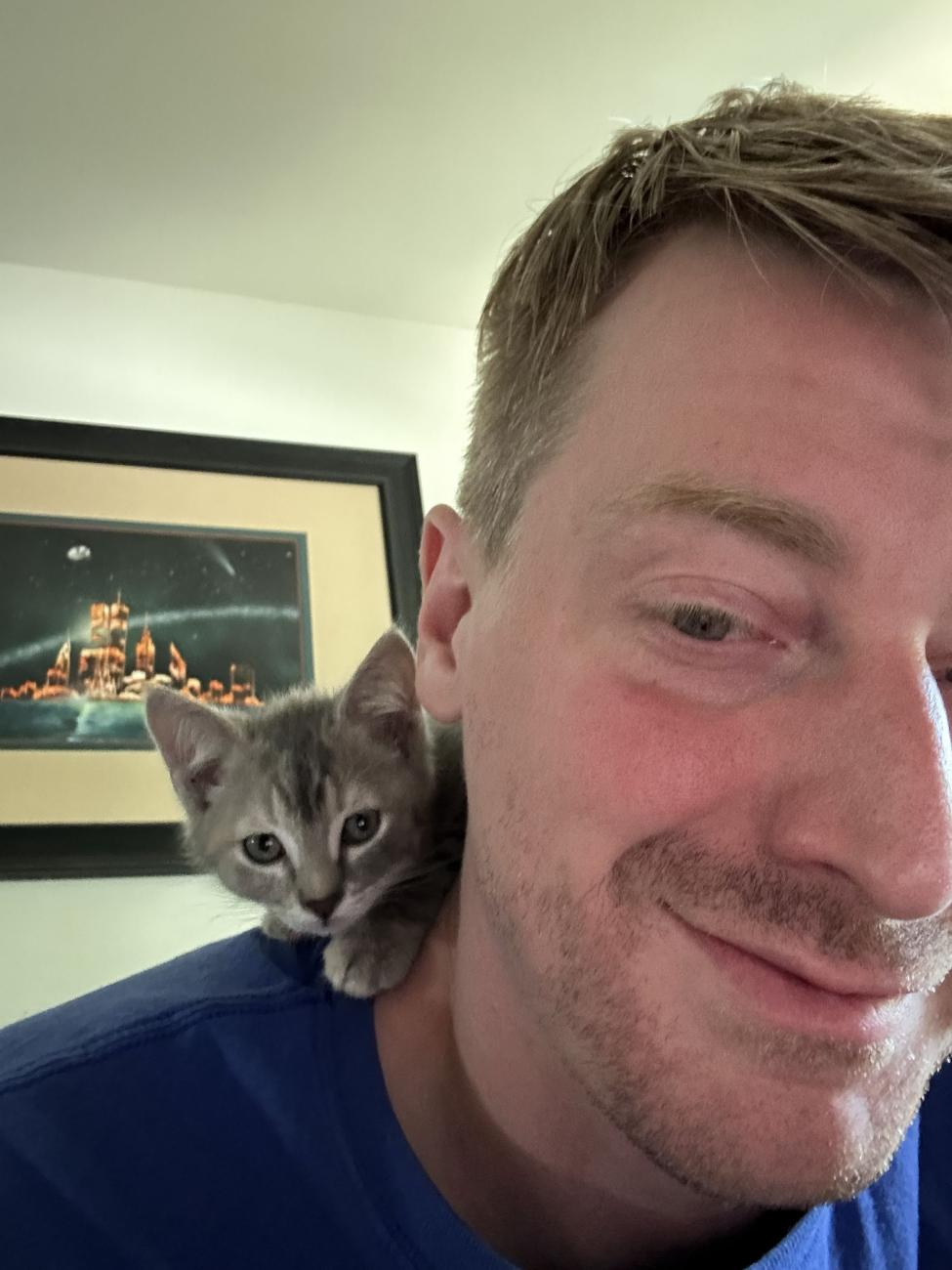 Kitten sitting on Trevor's shoulder
