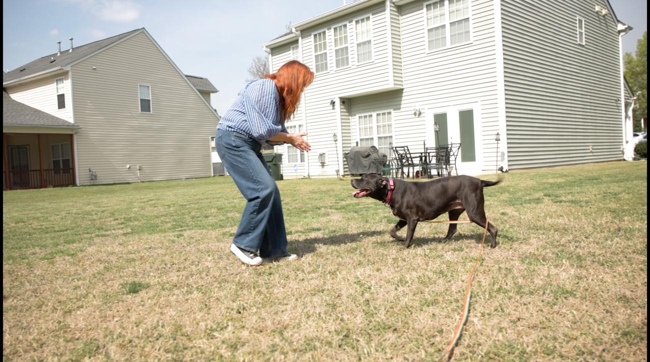 Elle interacting with a foster dog outside