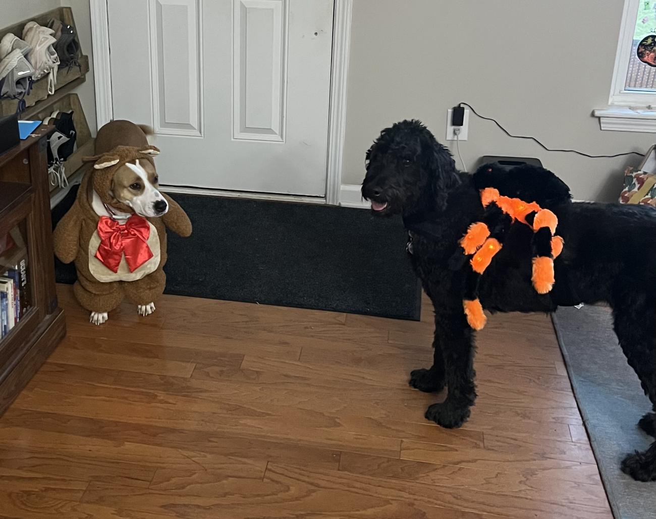Mae and Blue stand together wearing costumes.