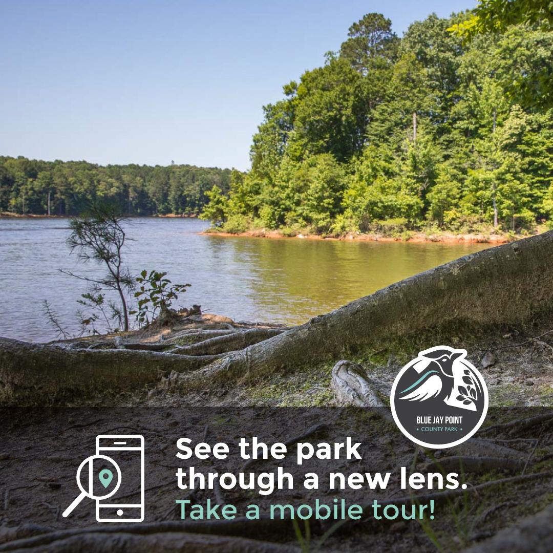 Blue Jay Mobile tour image