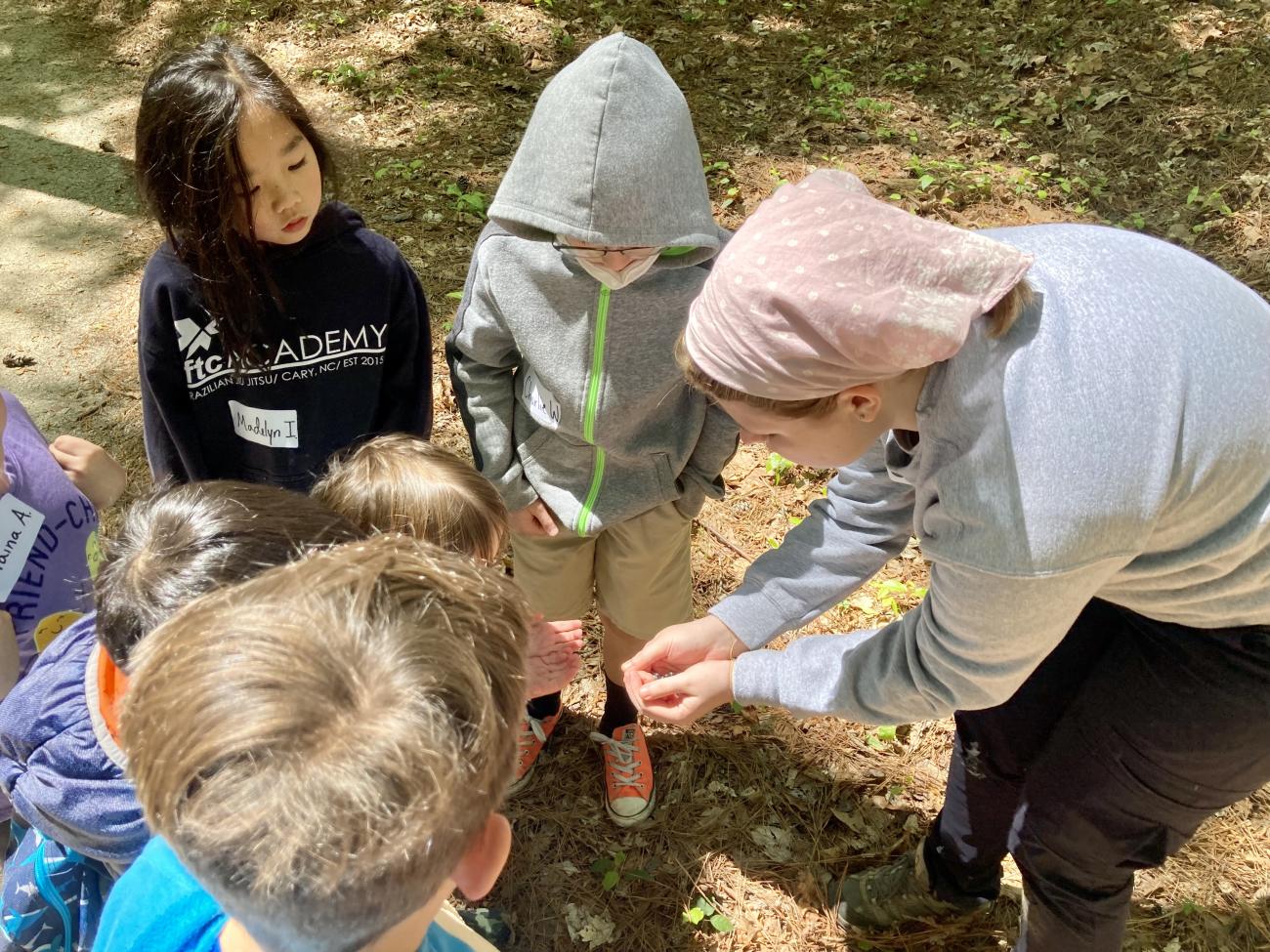 Environmental Educator Sarah showing a salamander to students at Lake Crabtree County Park.