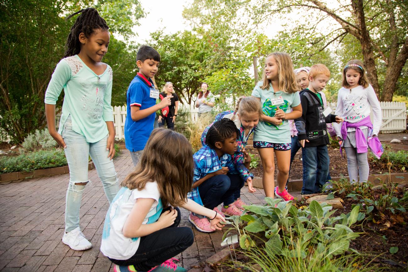 Students on a field trip to Historic Oak View exploring the herb garden. They are gathered around a lamb's ear plant.