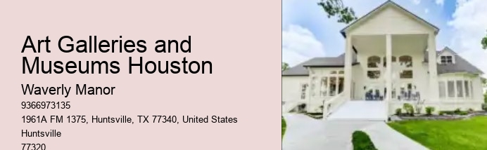 Art Galleries and Museums Houston