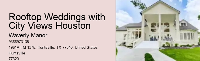 Rooftop Weddings with City Views Houston