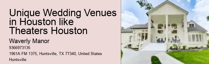 Unique Wedding Venues in Houston like Theaters Houston