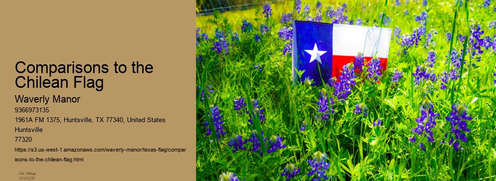 Comparisons to the Chilean Flag