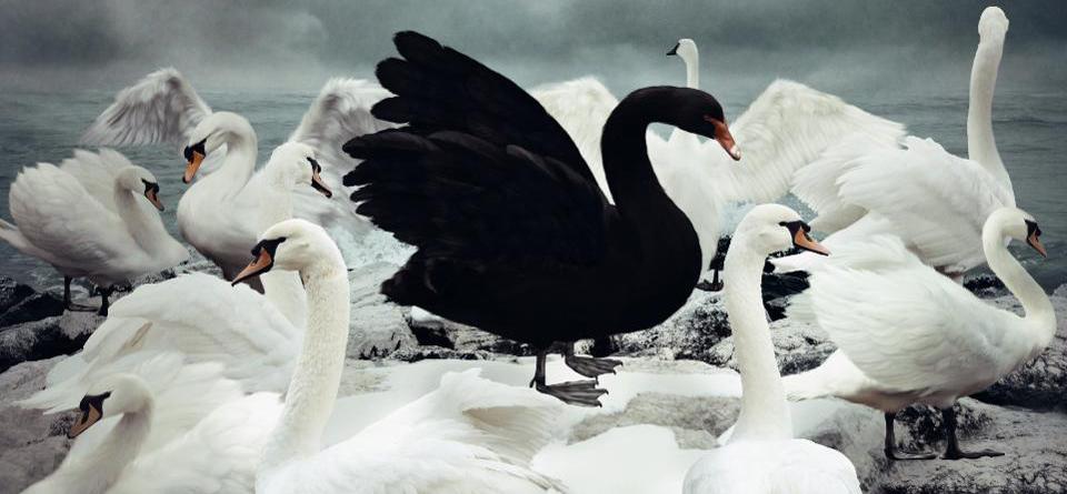 Hapax Legomena: The Black Swans of Greek Vocabulary - The Cripplegate