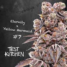 Photograph of product: Test Kitchen Leftovers - Eternity X Yellow Mermaid 5g Smalls