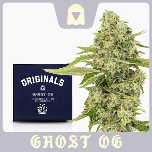 Photograph of product: Ghost 30.92% - 3.5G - Ghost (H)