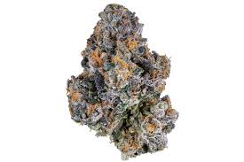 Photograph of product: Gelato 41 $40 oz - 28g
