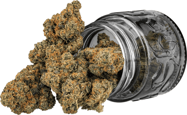 Photograph of product: Top Shelf Cultivation Premium Indoor Blue Dream (3.5g) - 