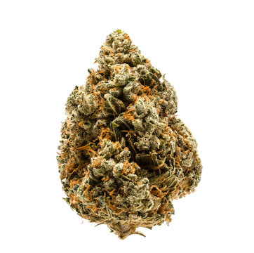 Photograph of product: Zlurpee | Hybrid (I) | Falahi - 28g
